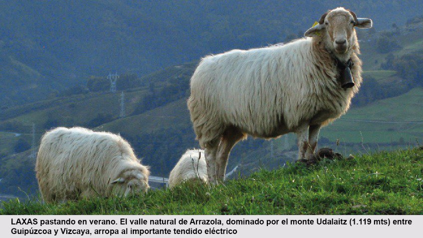Gure Euskaldunak, Nuestros Vascos